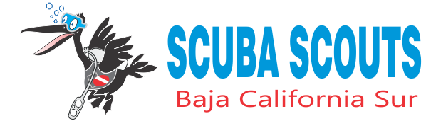 Scuba Scouts Baja California Sur